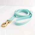 thumbnail image 2 of CNKOO Durable Polyester Dog Leash for Small to Medium Breeds - Solid Color  Hand-Washable PET Lead for Outdoor Walks, 2 of 6