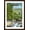 Brown Frame, variant on Art.com Leconte Creek and Bear Family - Great Smoky Mountains National Park, TN Stretched Canvas Print Wall Art by Lantern Press, 16" x 24"
