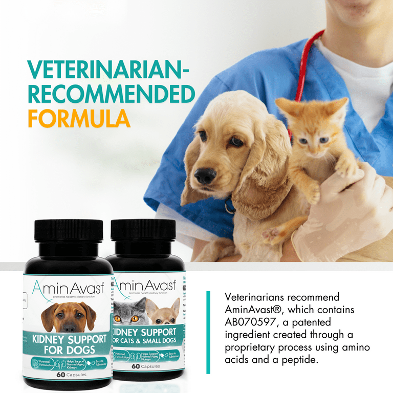 AminAvast Kidney Support Supplement for Cats and Dogs, 60