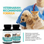 AminAvast Kidney Support Supplement for Cats and Small Dogs, 300mg, 60 Capsules, 2-Pack