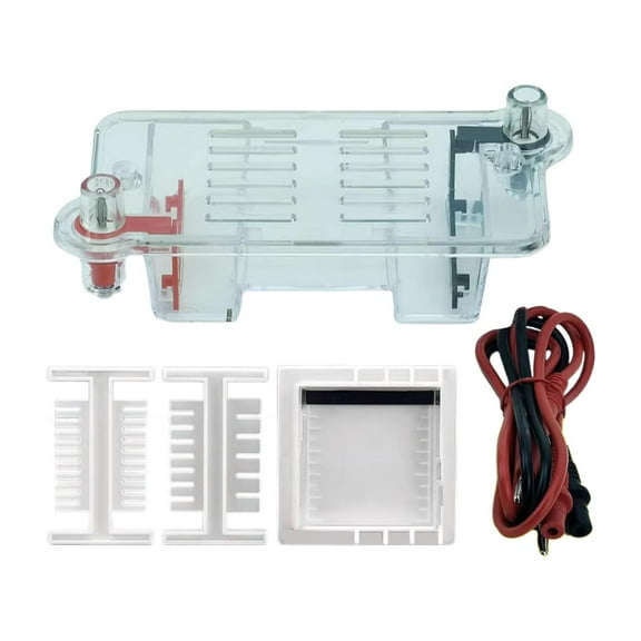 Kuntesetty Electrophoresis Apparatus Experiment Lightweight Educational for High School