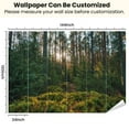 thumbnail image 3 of Peel and Stick Wallpaper Beautiful landscape sunset dense pine forest beauty northern nature Modern Art Wall Mural Decor Self Adhesive and Removable 100in x 144in, 3 of 8