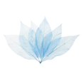 thumbnail image 2 of GUOOL 4- 50 Pcs Feuilles de Squelette de Magnolia Naturelles - Bleu 6 Pcs, 2 of 9