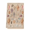 thumbnail image 2 of Retro Ocean Kitchen Towels Set of 1, Brown Coastal Shells Conch Underwater Absorbent Dish Towels for Kitchen, Microfiber Hand Towel, Quick Drying Tea Towel for Cleaning Decorative Dishcloths, 2 of 7