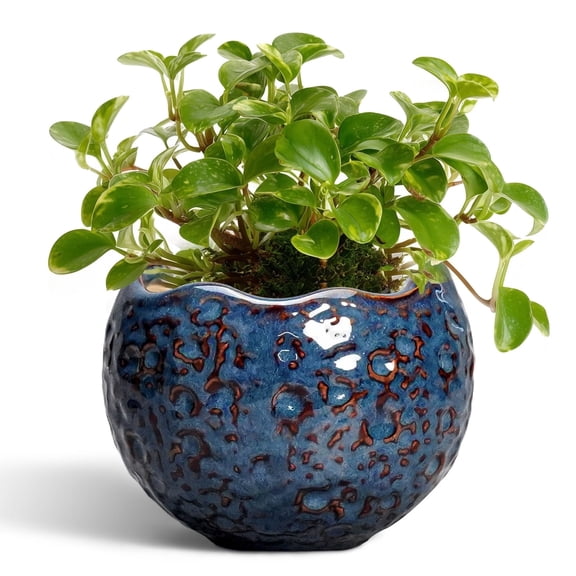 Ordivic 4 inch Reactive Glaze Blue Ceramic Plant Pot with Drainage Hole & Plug, Small Decorative Indoor Planter for Pothos Peperomia Cactus Houseplant, Desktop Home Office Decor