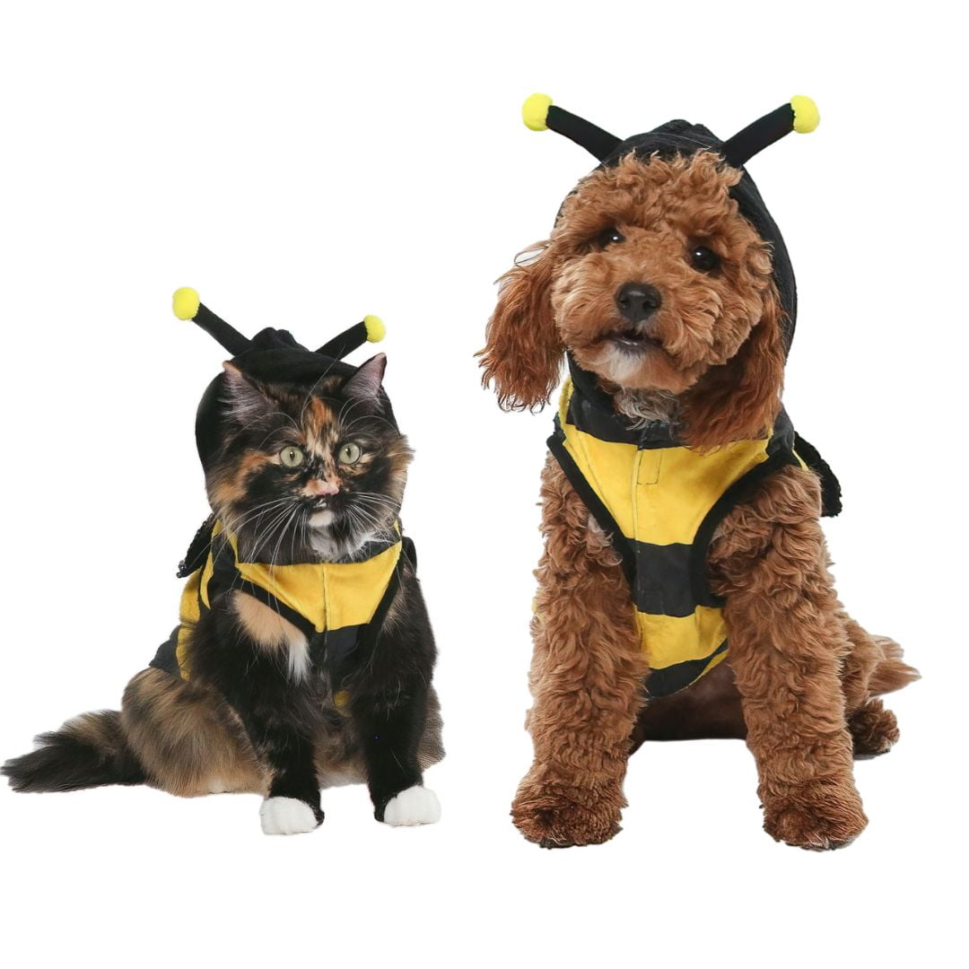 Vibrant Life Halloween Dog Costume and Cat Costume: Bumble Bee, Size Small