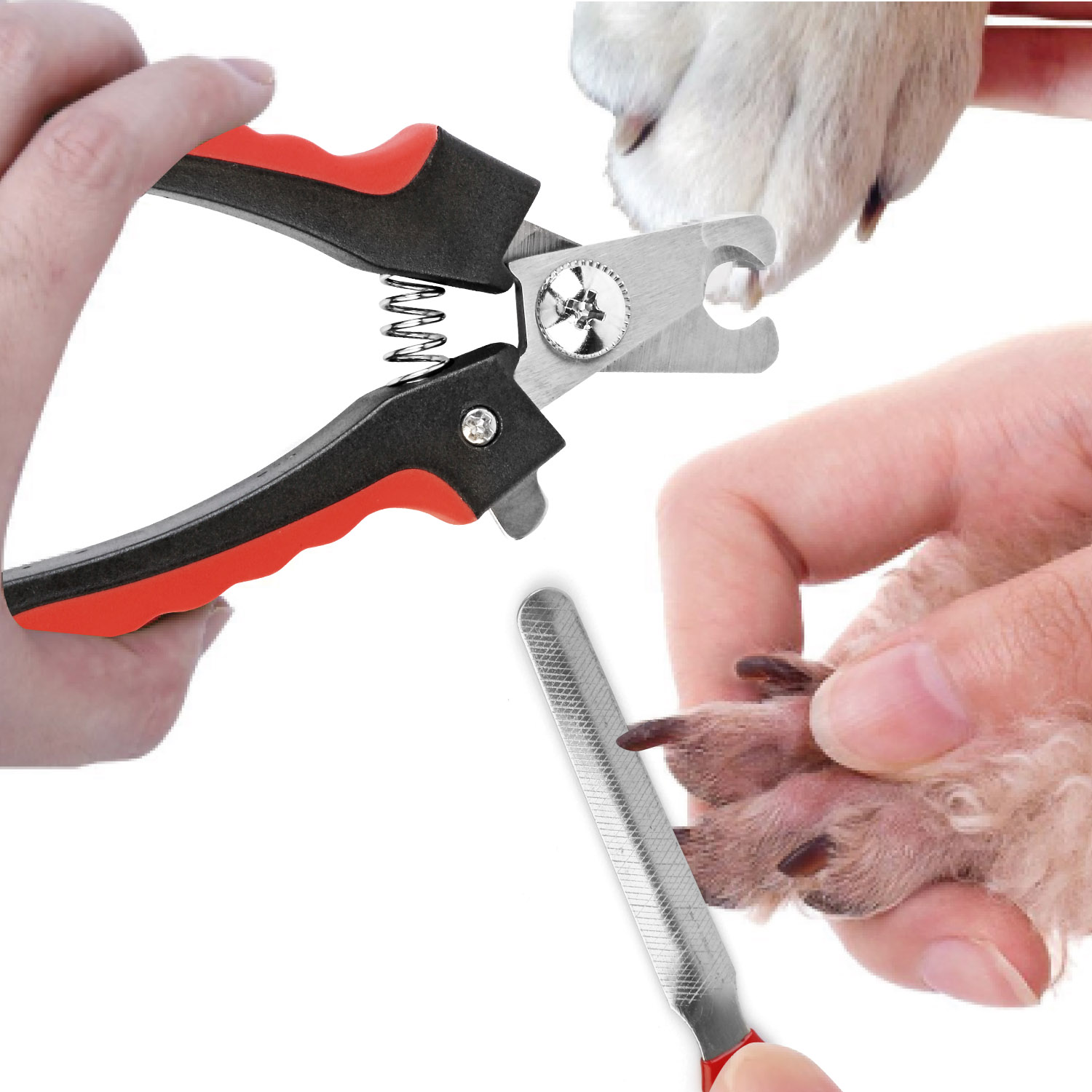 pet nail trimmer walmart