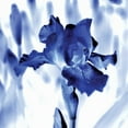 thumbnail image 3 of Donovan, Kelly 15x15 Black Modern Framed Museum Art Print Titled - Blue Ice Iris, 3 of 5