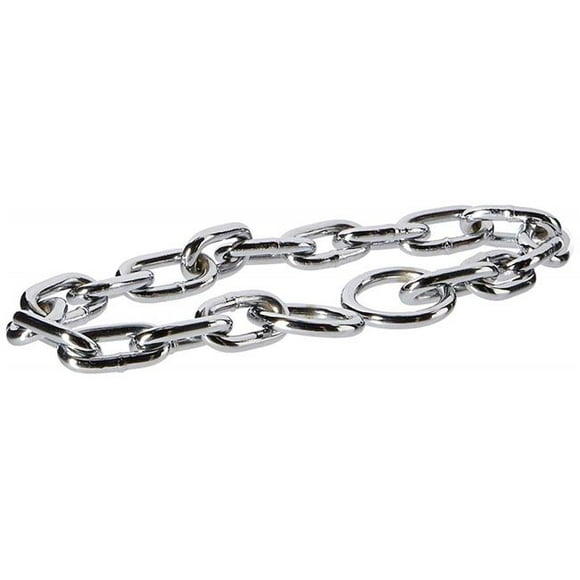 Choke Chain - 6.0 mm x 22 in.
