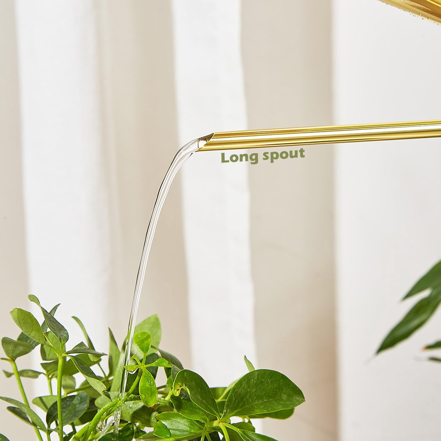 Watering Can, 50 oz/1.5L Stainless Steel Watering Can Pot with Long Spout, Garden Watering Cans with Comfortable Handle for Indoor House Plants Bonsai Flower Decorative - GOLD