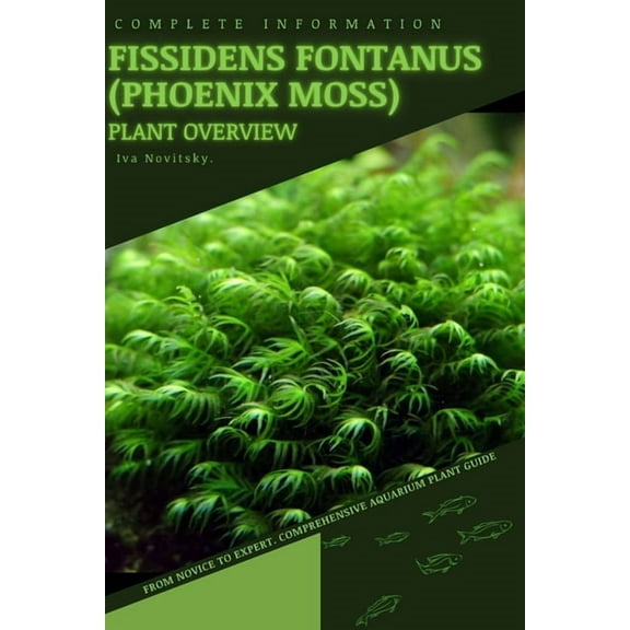 Fissidens fontanus (Phoenix Moss): From Novice to Expert. Comprehensive Aquarium Plants Guide