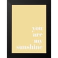 thumbnail image 2 of Mi, Suki 18x24 Black Modern Framed Museum Art Print Titled - You Are My Sunshine, 2 of 5