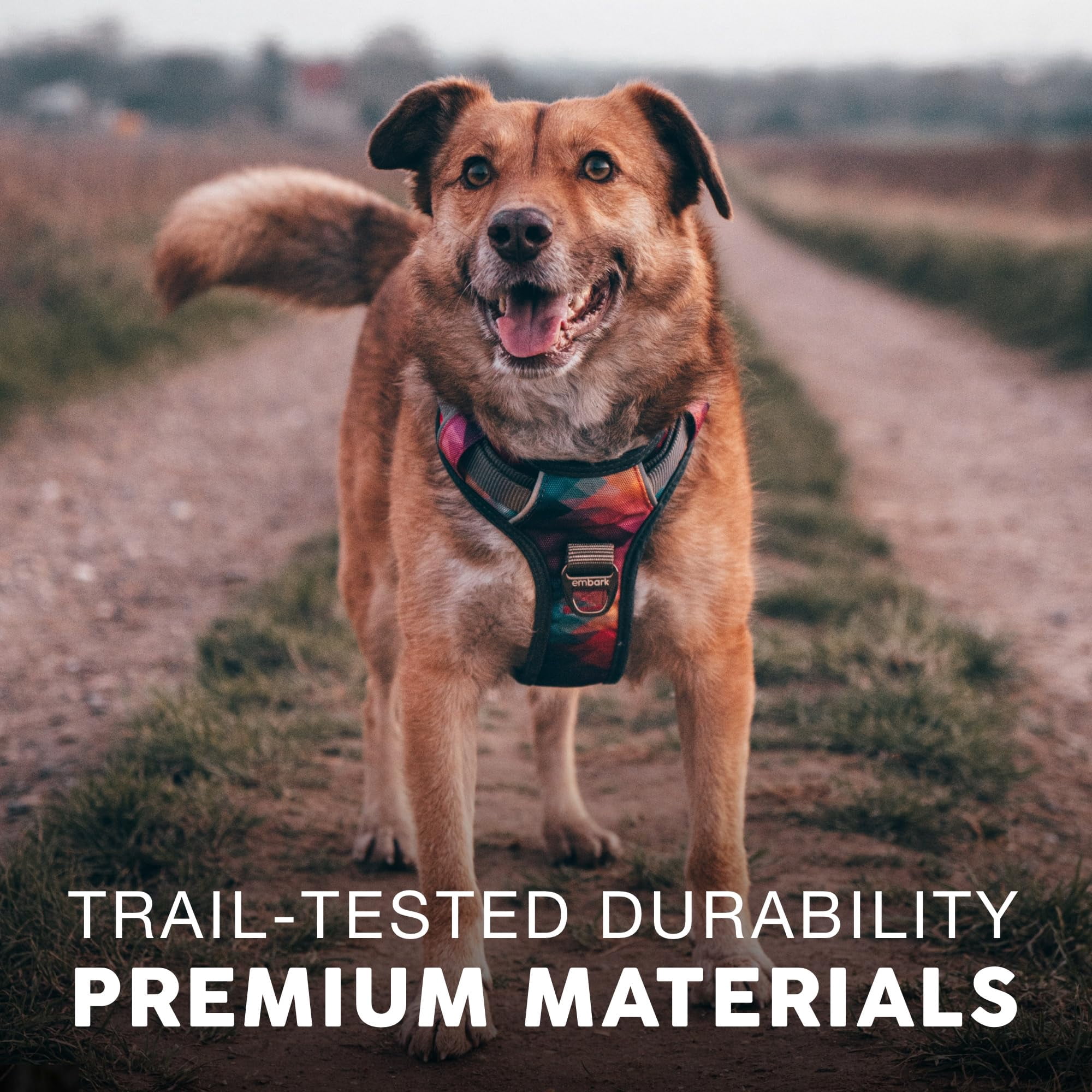 Embark Adventure Dog Harness For Small  Medium & Large Dogs - No Pull Reflective Trim Heavy Duty Oxford 2 Leash Clips Gel-lined Handle Soft Padded