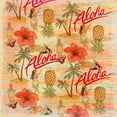 thumbnail image 3 of Aloha Hulas Pattern 20x20 Black Modern Framed Museum Art Print Titled - Art Licensing Studio, 3 of 5