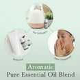 thumbnail image 2 of Pranarom Provence Cypress Organic Essential Oil Diffusion Blend, 2 of 7