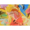 thumbnail image 2 of Orlov, Irena 32x24 Black Ornate Wood Framed with Double Matting Museum Art Print Titled - Color Burst Abstraction II, 2 of 4