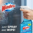 thumbnail image 5 of Windex Glass Cleaner Concentrate, Two 2.9 Ounce Concentrated Refill Bottles, 5 of 12