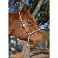 thumbnail image 4 of Martin Saddlery Rope Nose Adjustable Headsetter, 4 of 4