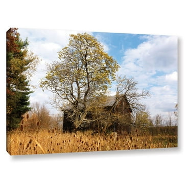 Cody York "Cvnp Barn" Floater-Framed Gallery-Wrapped Canvas