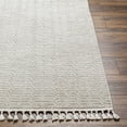 thumbnail image 3 of Surya Finland Polyester 27" x 45" Area Rugs FND2310-2745, 3 of 4