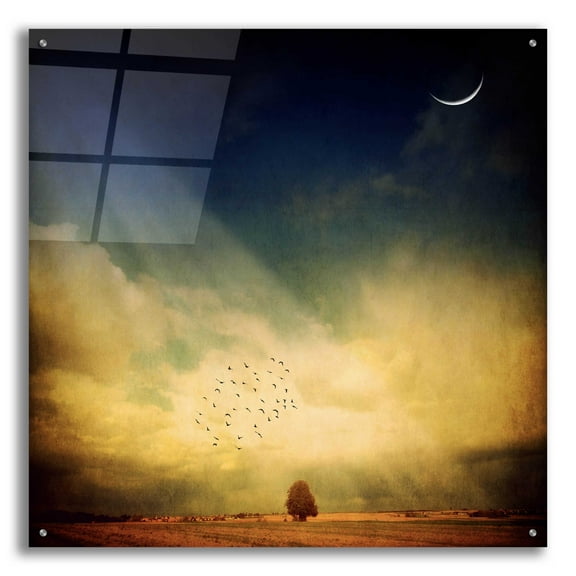 Epic Art 'Echo Of A Sigh' by Philippe Sainte-Laudy, Acrylic Glass Wall Art, 36"x36"