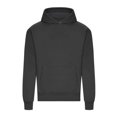 thumbnail image 1 of Awdis Chandail à Capuchon Épais Signature pour Hommes, 1 of 2
