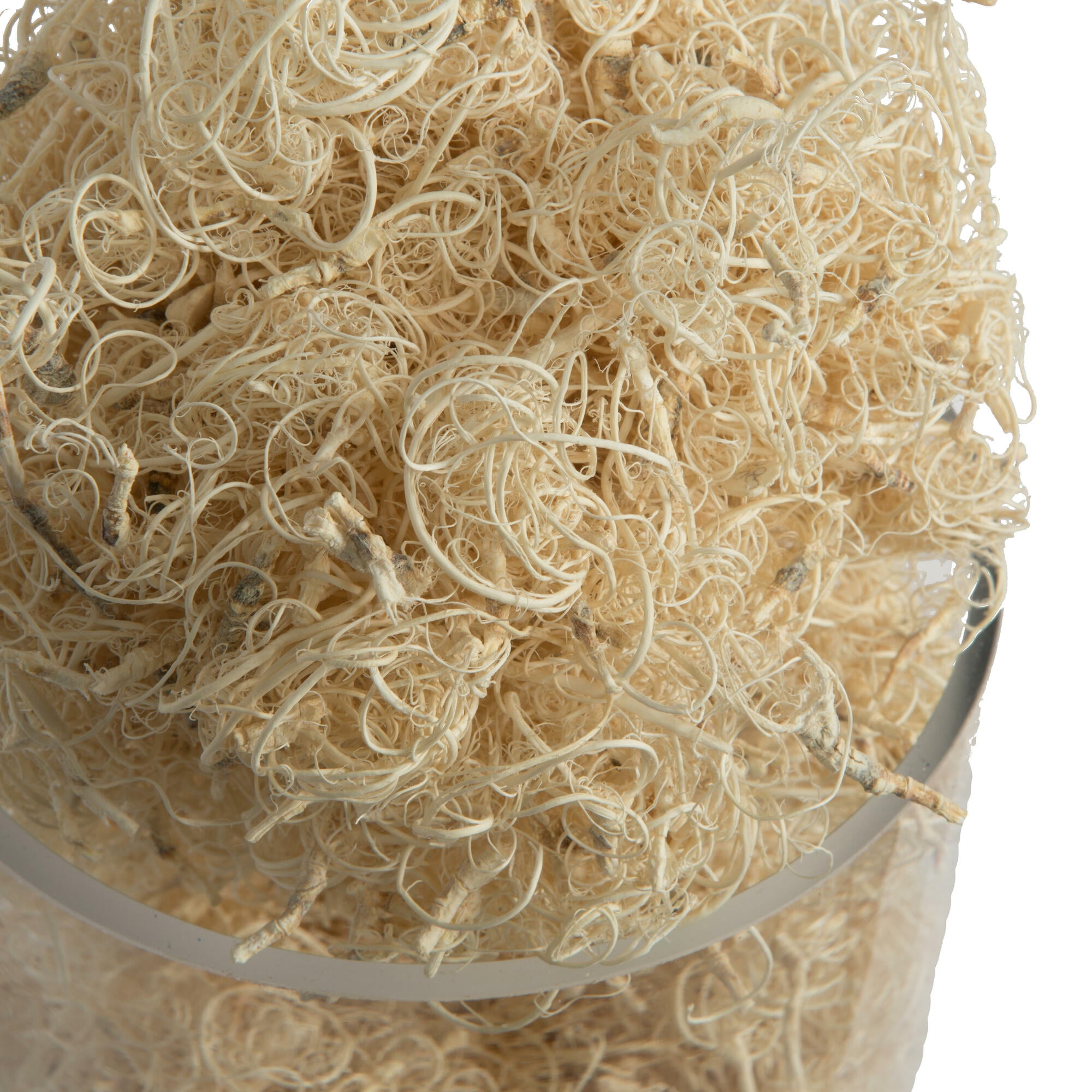 Vickerman Natural Botanicals Curly Moss, Bleached. Includes 2.2 Lbs per pack