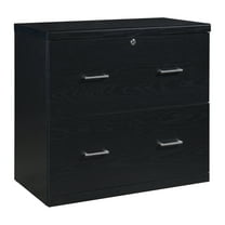 Alpine 2-Drawer Engineered Wood Lateral File with Lockdowel  in Black Finish