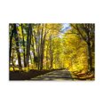 thumbnail image 2 of Gango Home Decor Contemporary Trees of Gold & Green I by Alan Hausenflock (Printed on Paper); One 36x24in Fine Art Paper Giclee Print, 2 of 4