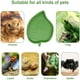 thumbnail image 5 of 2 piezas de cuenco de agua y comida para reptiles con forma de hoja, plato para tortugas, serpientes, mascotas que gatean y beben, 5 of 9