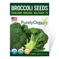 Purely Organic Waltham 29 Broccoli Seeds (Premium Heirloom, Organic, Non-GMO, Open Pollinated, Vegetable, Full Sun) - Approx 900 Seeds