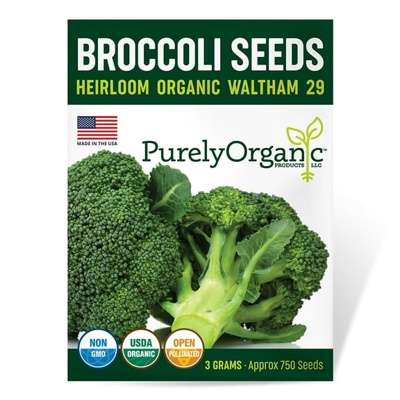 Purely Organic Waltham 29 Broccoli Seeds (Premium Heirloom, Organic, Non-GMO, Open Pollinated, Vegetable, Full Sun) - Approx 900 Seeds