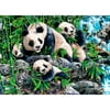 Panda Playground Puzzle, 500 Pieces