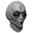 thumbnail image 1 of Máscara gris adulta alienígena del Área 51 para Halloween, 1 of 5
