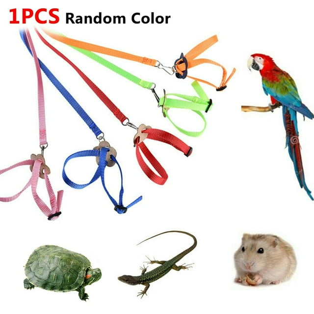 Pet Bird Harness Adjustable Leash Flying Training Rope for Parrot Cockatoo Macaw Cockatiels