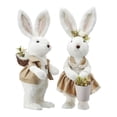thumbnail image 1 of Regency International Sisal Dressed Bunny With Egg 12.25", Assortment Of 2, 1 of 1
