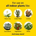 thumbnail image 5 of Miracle-Gro Indoor Potting Mix and Miracle-Gro Indoor Plant Food, 5 of 11