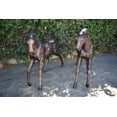 thumbnail image 3 of Nifao Pair Of Very Detailed Young Horses, Foals, Bronze Statues – Garden Outdoor Decor Sculpture, 56"L x 50"W x 47"H, 3 of 10