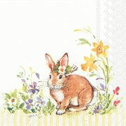 Boston International IHR 3-Ply Cocktail Beverage Paper Napkins, 5 x 5-Inches, Lovely Bunny Yellow