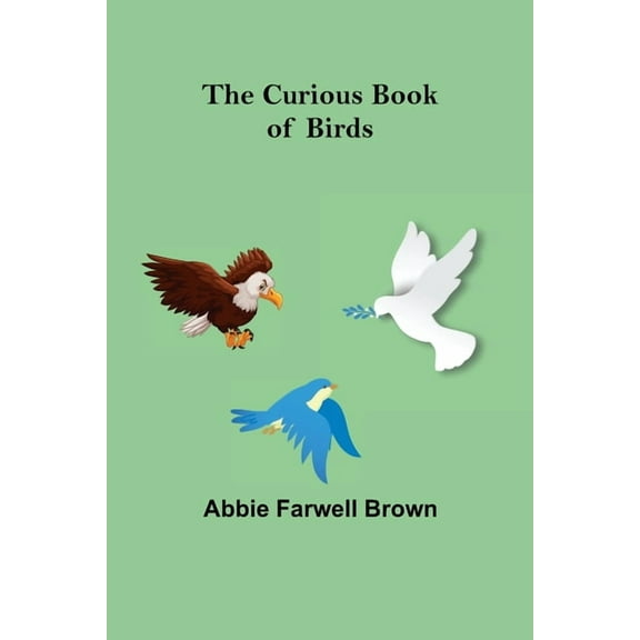 The Curious Book of Birds, (Paperback)