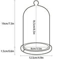 thumbnail image 5 of Cubierta de cúpula de tarro de vidrio transparente Cubierta decorativa de campana de campana de cúpula de vidrio transparente Cubierta de vidrio de flores frescas para fiesta de bodas San V, 5 of 5