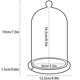 thumbnail image 1 of Tapa de cúpula de frasco de vidrio transparente Tapa de campana de campana de vidrio transparente decorativa Tapa de vidrio con flores frescas para fiesta de b, 1 of 5