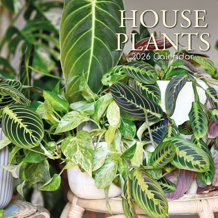 Gifted Stationery Co, House Plants 2026 Wall Calendar, 12'' X 12'', 16-Month Calendar with Stapled Binding