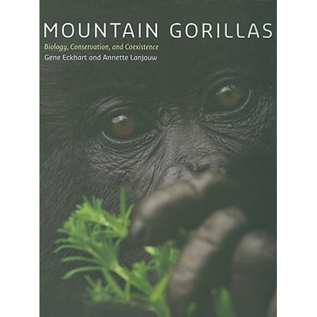 Mountain Gorillas Biology Conservation And Coexistence