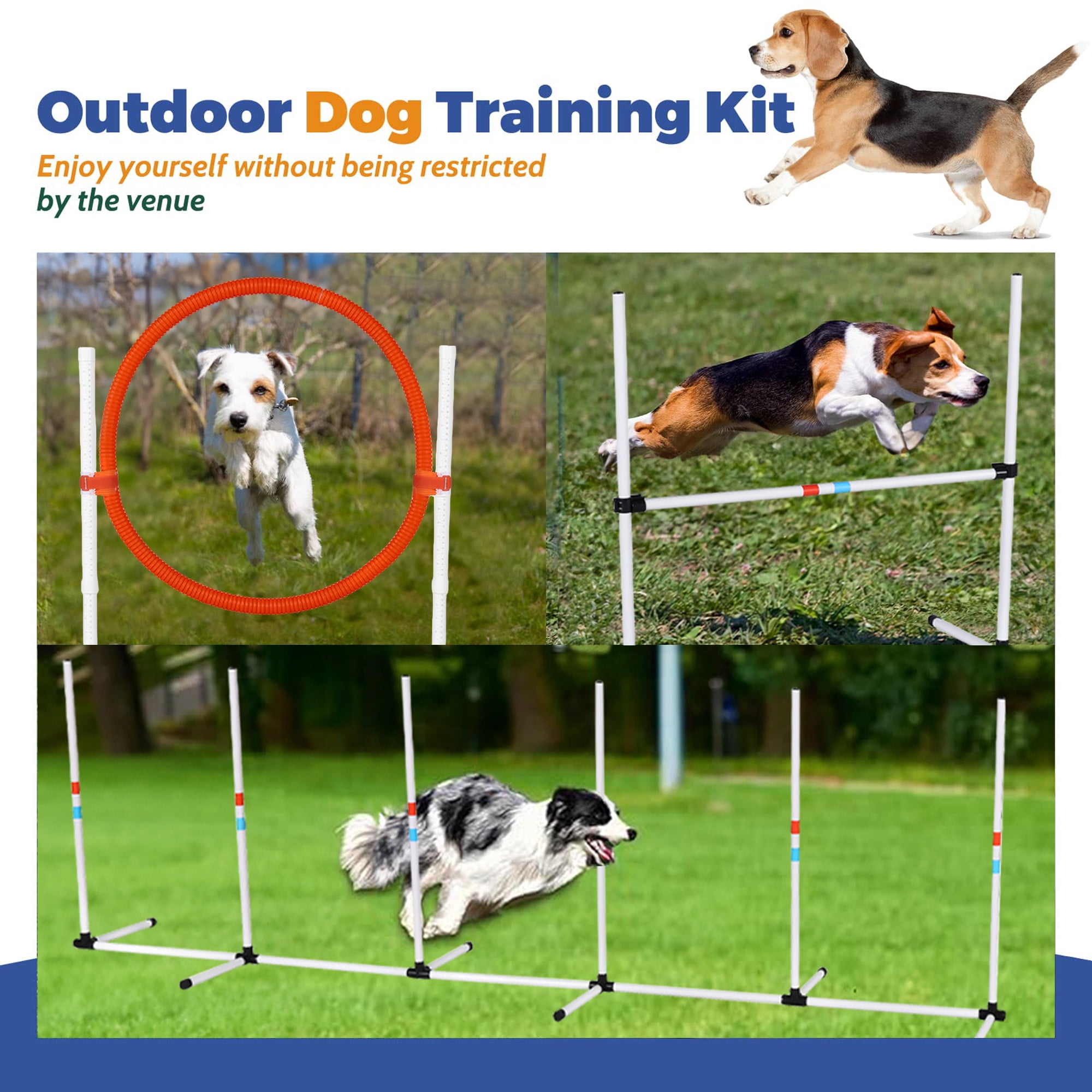 Dog Agility Course Backyard Set Better Sporting Dogs 7-Piece