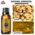 thumbnail image 5 of Q&Q ESSENTIALS Ginger Massage Oil Blend – Warming Body & Skin Oil with Jojoba – For Massage & Topical Use (3 Pack, 3 oz), 5 of 5