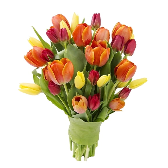 KaBloom : 10 Red Tulips, 10 Orange Tulips, 10 Yellow Tulips, Next-Day Delivery.