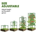 thumbnail image 5 of 3 Pack Tomato Cages,Square Tomato Plant Stakes Support Cages Trellis for Garden Climbing Vegetables Flowers Fruits,Extra Bold, 5 of 18