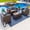 Sunbrella Canvas Taupe, variant on Tuscany 4-Piece M Resin Wicker Outdoor Patio Furniture Conversation Sofa Set with Loveseat, Two Armchairs, and Coffee Table (Half-Round Brown Wicker, Polyester Light Gray)