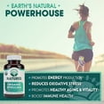 thumbnail image 5 of USDA Organic Spirulina Tablets - Non-GMO Green Superfood Supplement: 3000mg of Fresh Blue Green Algae, Vegan, Gluten Free, Sustainably Grown, Pesticides Free and Non-Irradiated, 500mg per Tablet, 180, 5 of 7